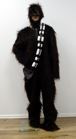 Star Wars Wuki Overall